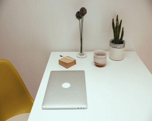Organized desk with a laptop and a small cactus plant